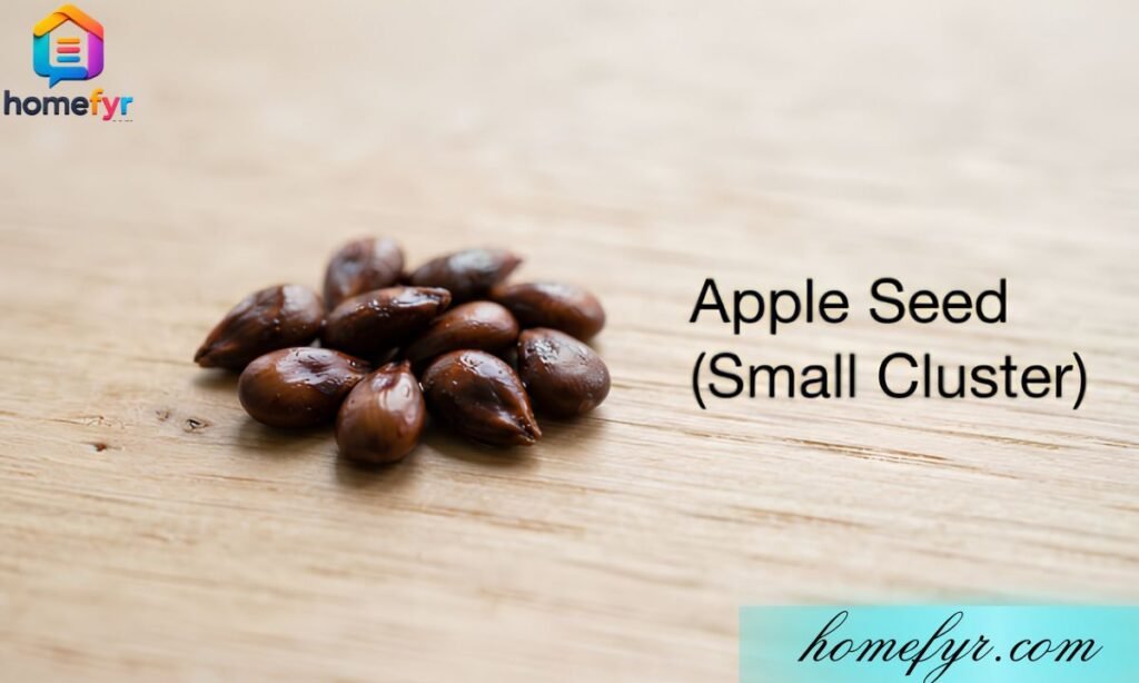 Apple Seed (Small Cluster) 