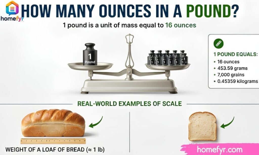 How Many Ounces in a Pound