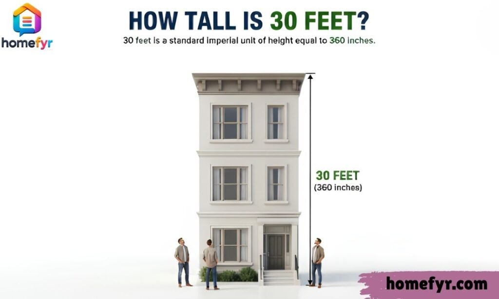 How Tall Is 30 Feet 