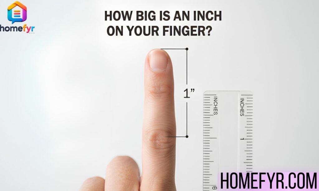 How Big Is an Inch on Your Finger