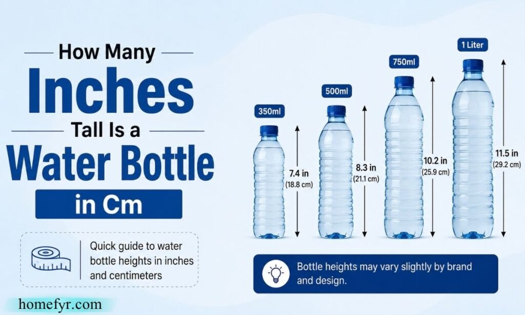 How Many Inches Tall Is a Water Bottle in Cm