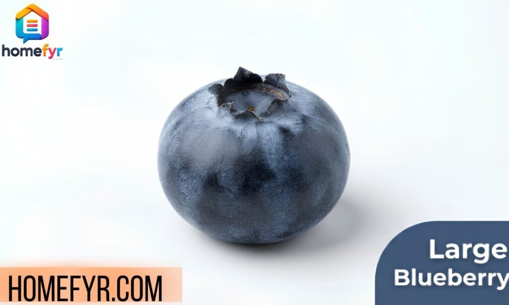 Large Blueberry
