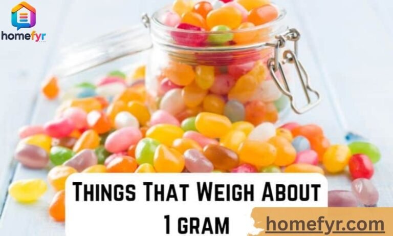 Things That Weigh 1 Gram